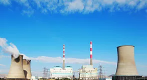 内蒙古金正化工有限公司